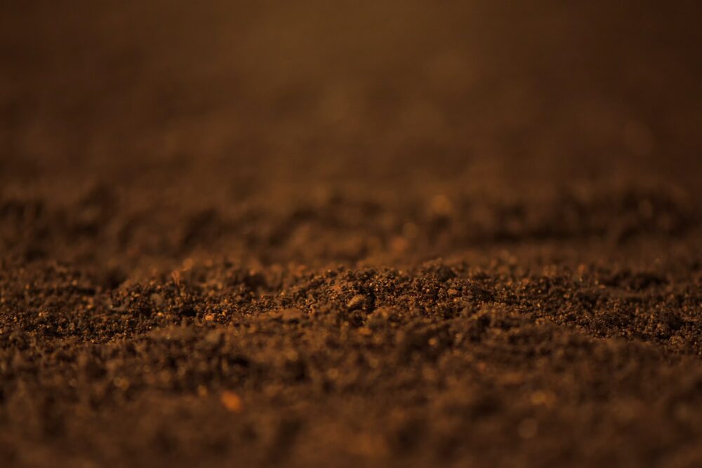 Soil close up
